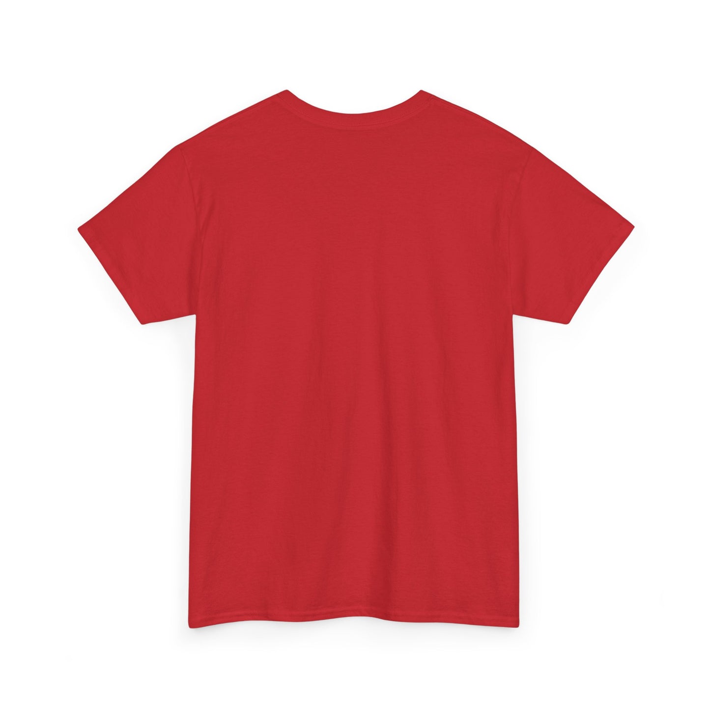Cute Loving Animals Tshirt My Cat Hold The Key To My Heart