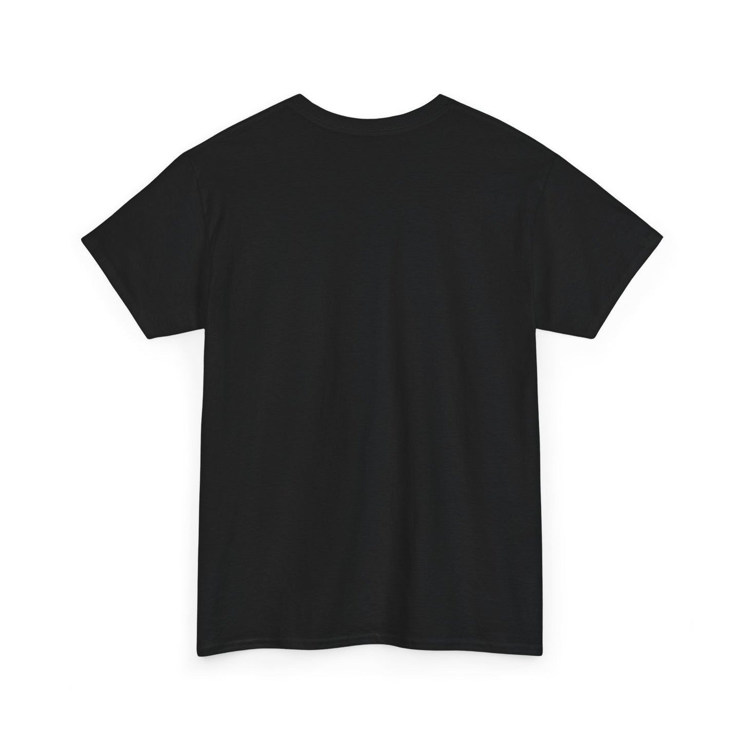 Cute Loving Animals Tshirt My Cat Hold The Key To My Heart