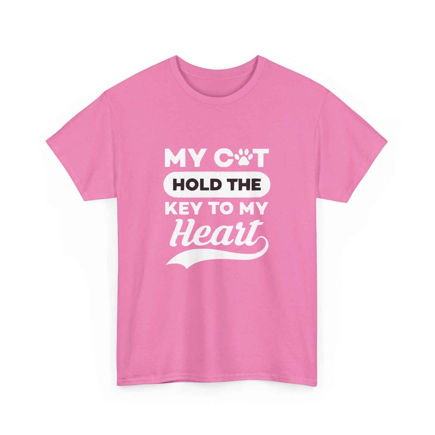 Cute Loving Animals Tshirt My Cat Hold The Key To My Heart